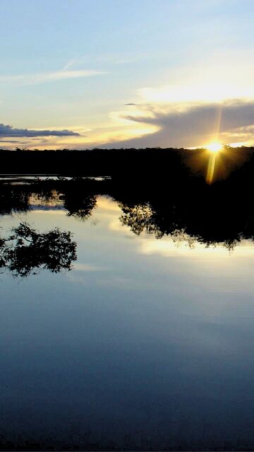 Termine o ano com gratidão e comece 2025 com novas oportunidades! 🙏

Acordar, superar desafios e valorizar quem amamos são motivos para seguir em frente com força e propósito. Vamos fazer de 2025 o melhor ano!

#EstratégiaeNegócios #Gratidão #NovosComeços